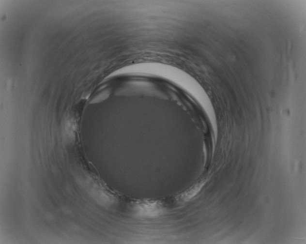 X0000085260235200703091332