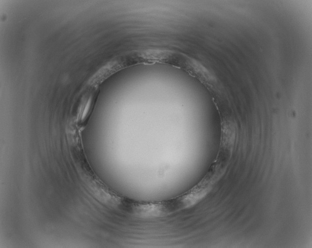 X0000085260237200703091332