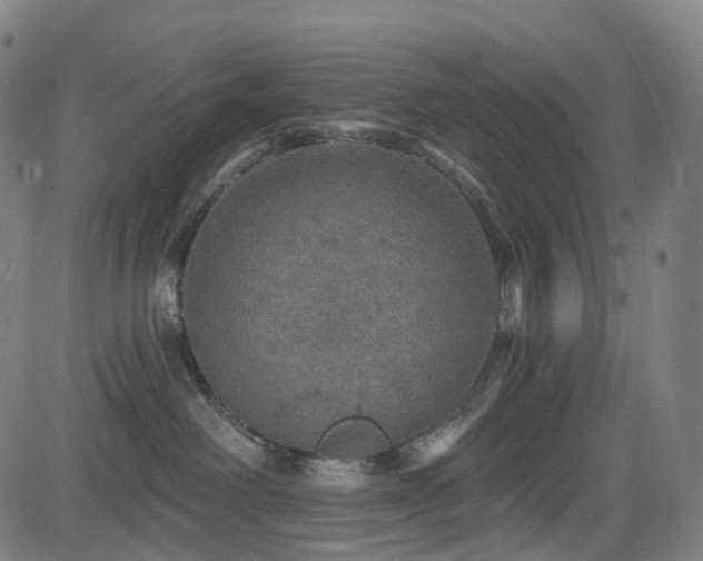 X0000085260238200703091331