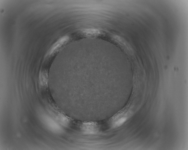 X0000085260240200703091331