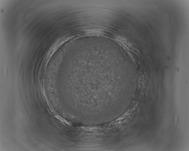 X0000085260241200703091331