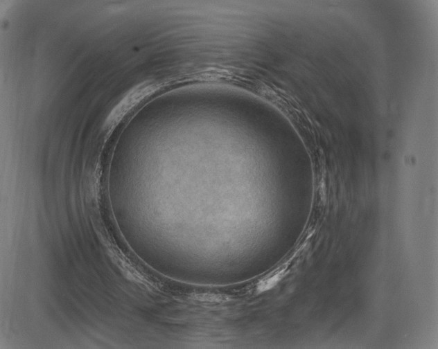 X0000085260242200703091331