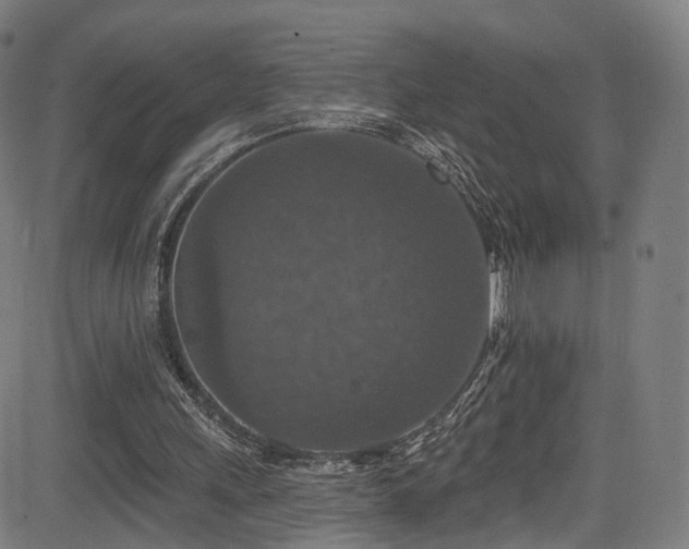 X0000085260243200703091331