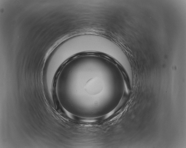 X0000085260244200703091331