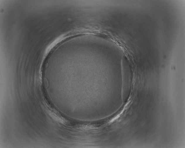 X0000085260246200703091331