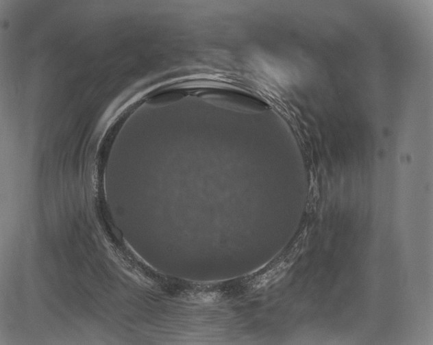 X0000085260247200703091331