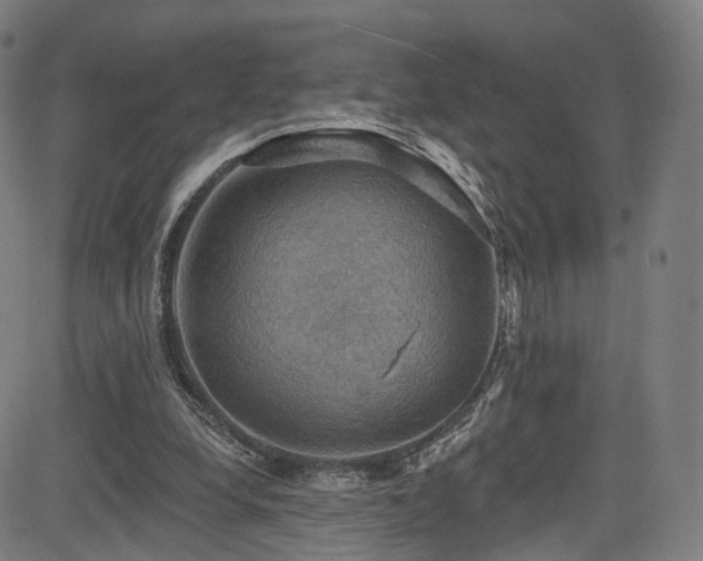 X0000085260248200703091331