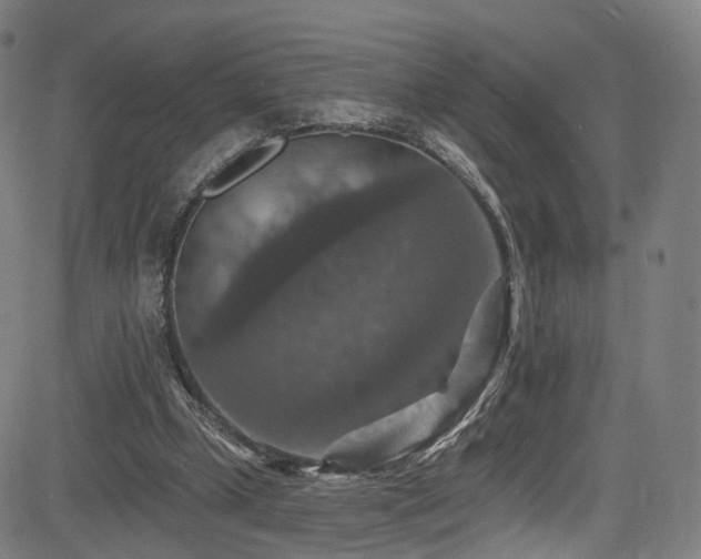 X0000085260249200703091331