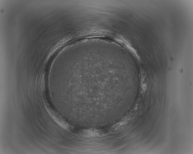 X0000085260250200703091331