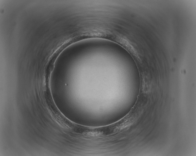 X0000085260251200703091331