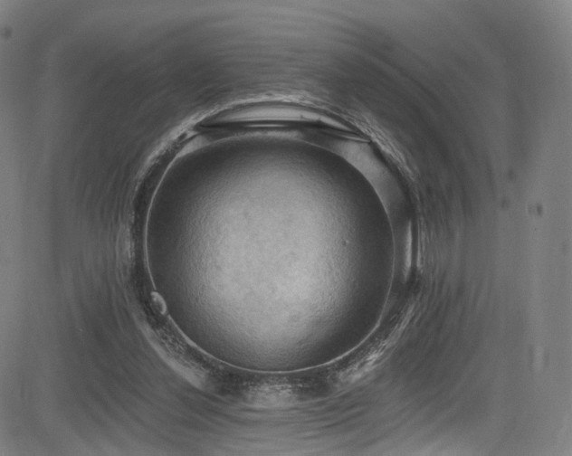 X0000085260252200703091331