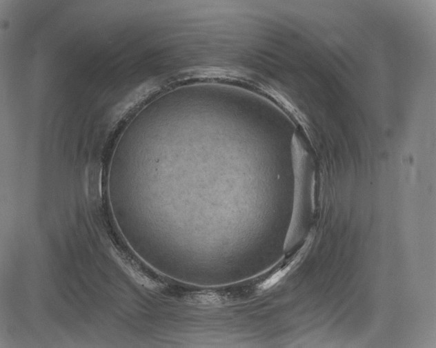 X0000085260253200703091331