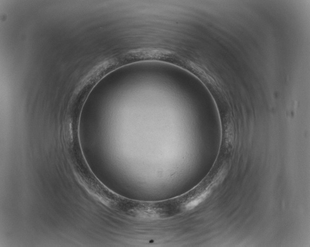 X0000085260254200703091331