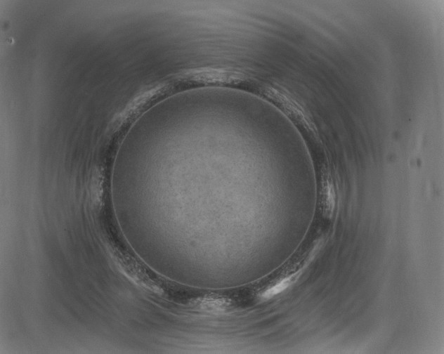 X0000085260255200703091331