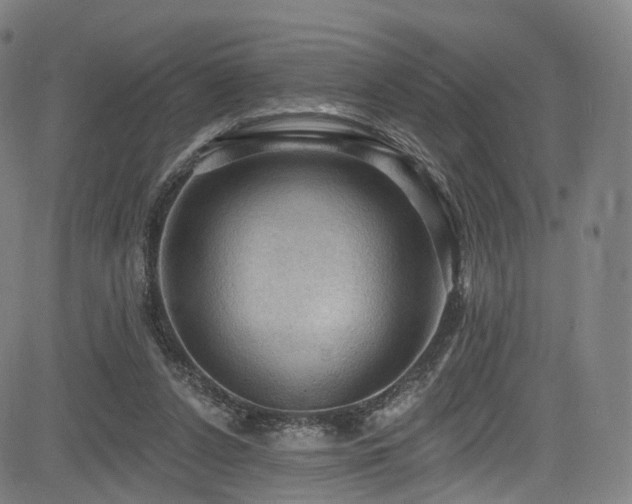 X0000085260256200703091331