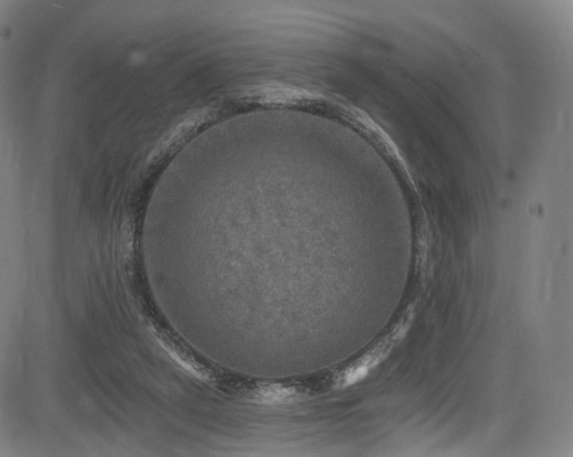 X0000085260257200703091331