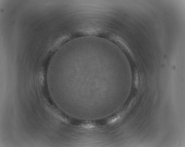 X0000085260259200703091331