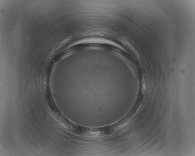 X0000085260260200703091331