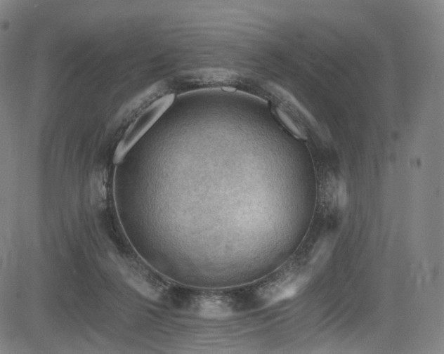 X0000085260264200703091331