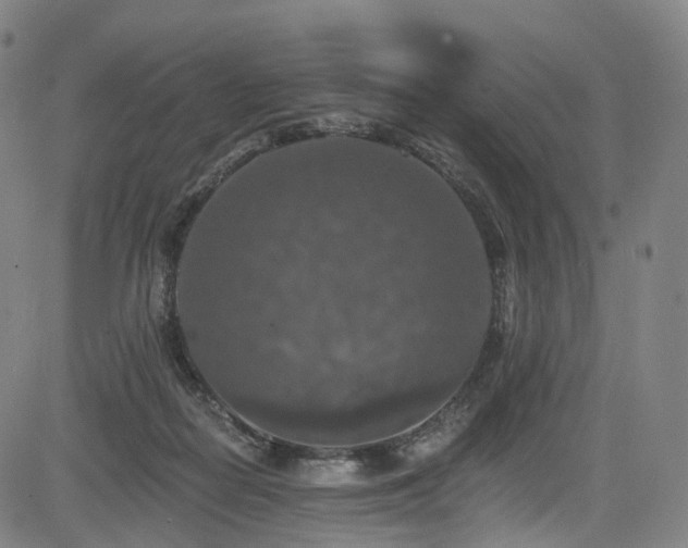 X0000085260266200703091331