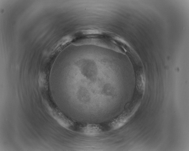 X0000085260270200703091331