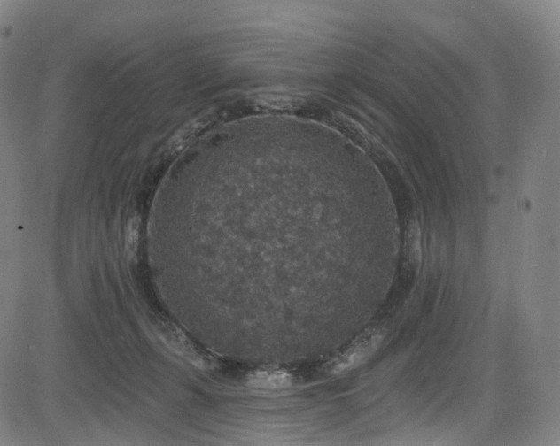 X0000085260271200703091331