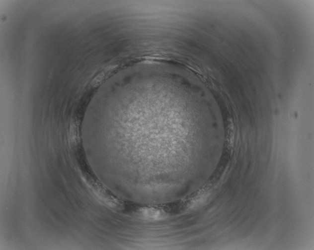 X0000085260272200703091331