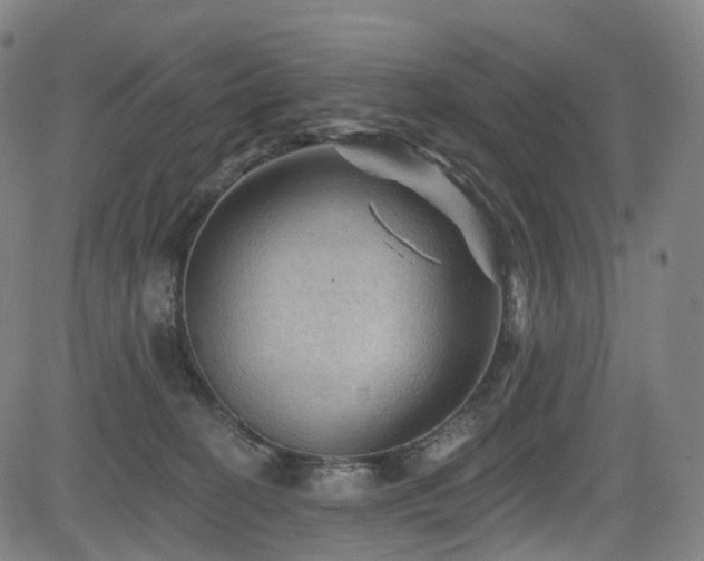 X0000085260274200703091331