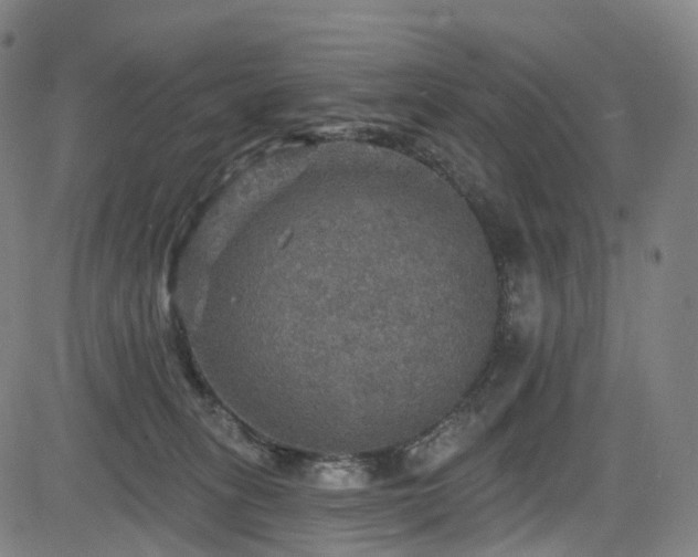 X0000085260275200703091331