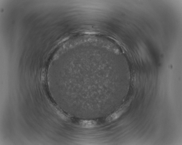 X0000085260277200703091331