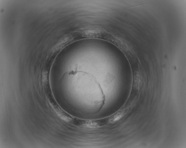 X0000085260278200703091331