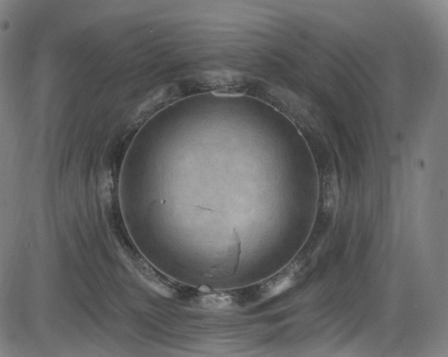 X0000085260279200703091331