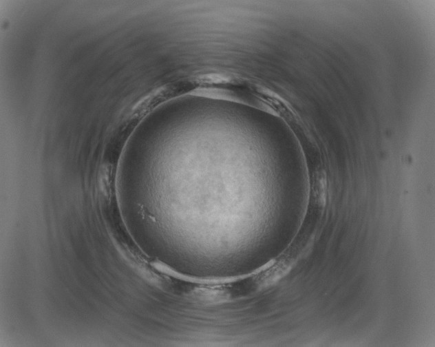 X0000085260280200703091331