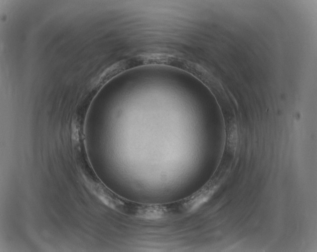 X0000085260282200703091331