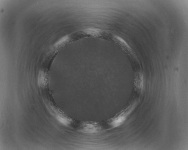 X0000085260285200703091331