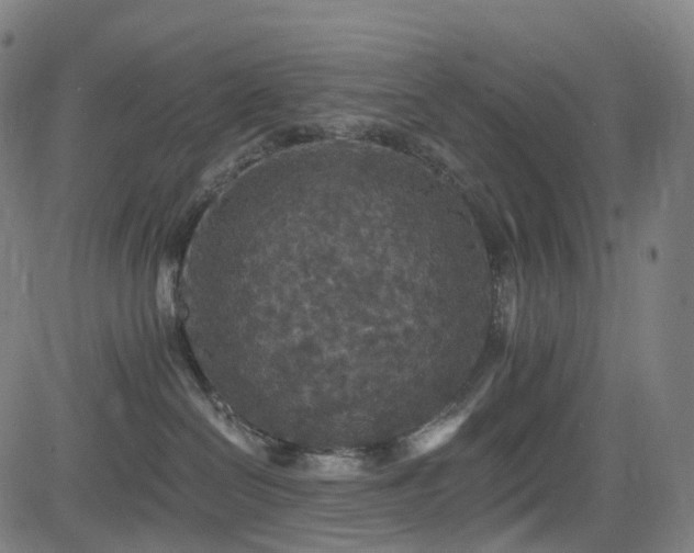 X0000085260286200703091331