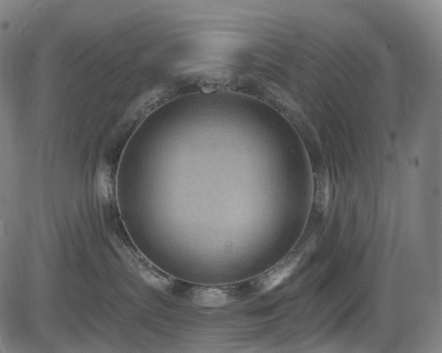 X0000085260287200703091331