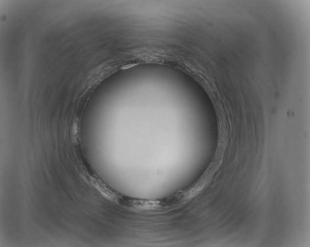 X0000085260288200703091331