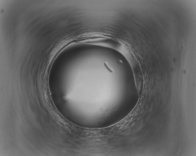 X0000085260289200703091331