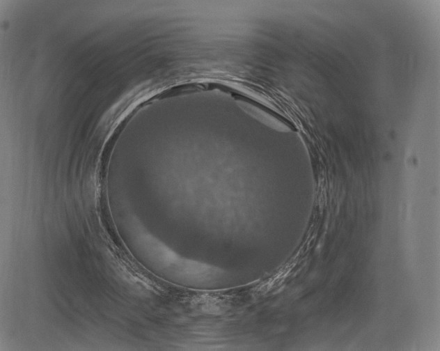 X0000085260290200703091331