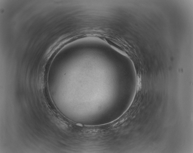 X0000085260291200703091331