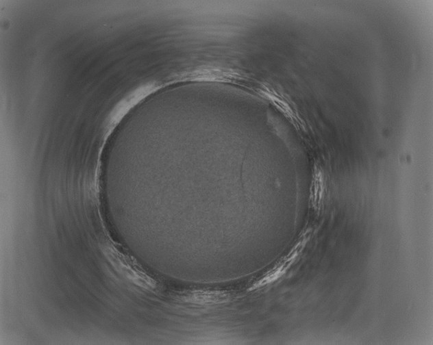 X0000085260292200703091331