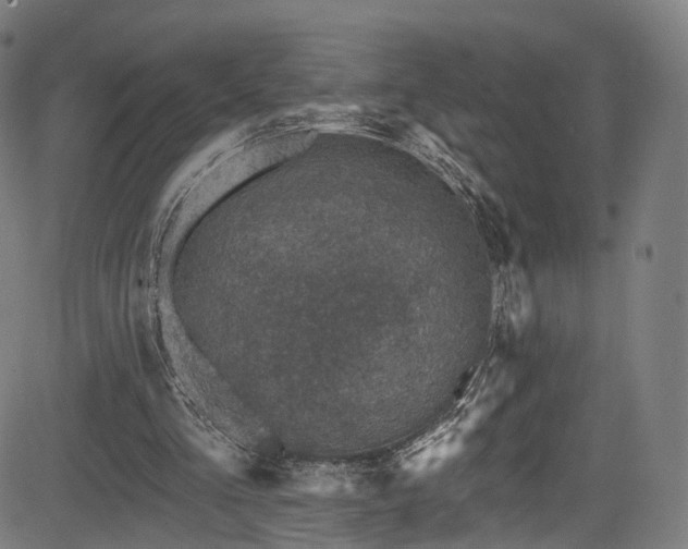 X0000085260293200703091331