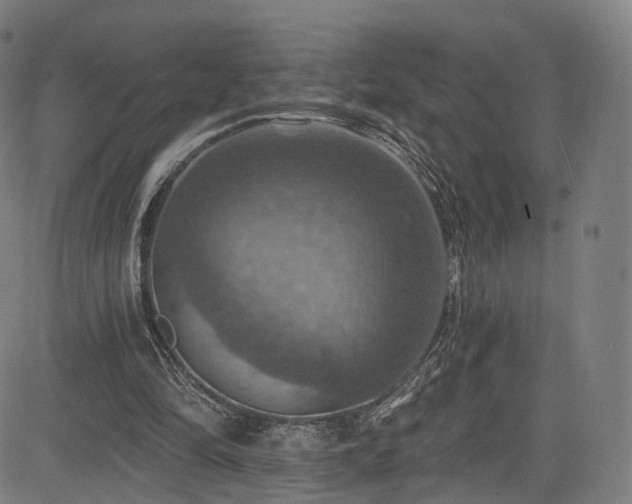 X0000085260294200703091331