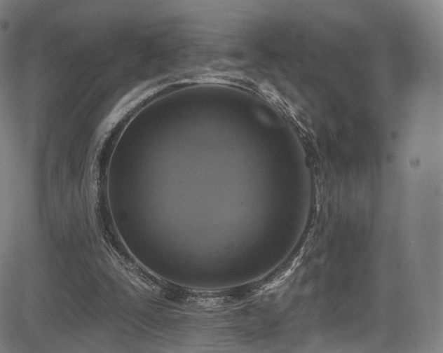 X0000085260295200703091331