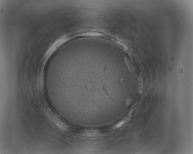 X0000085260296200703091331