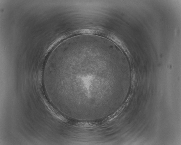 X0000085260297200703091331