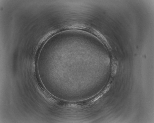 X0000085260298200703091330