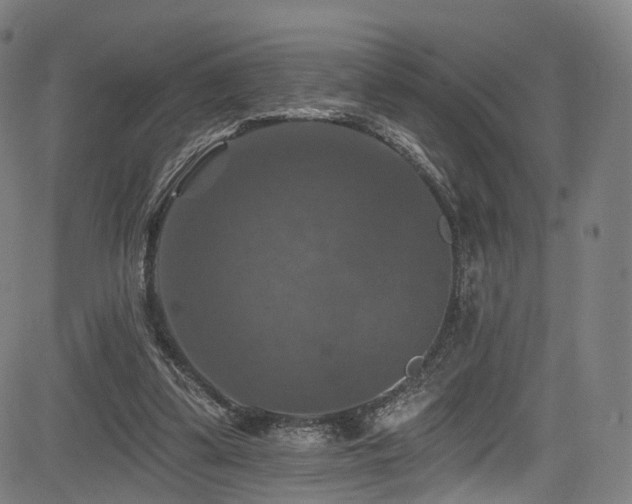 X0000085260299200703091330