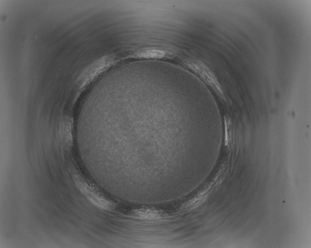 X0000085260300200703091330